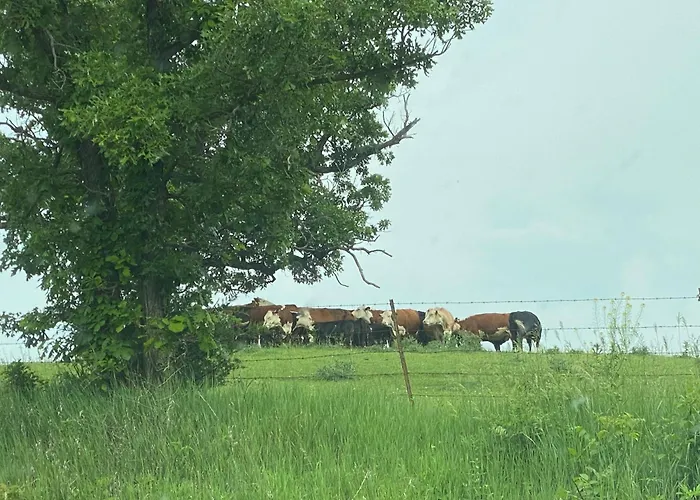 Ferienhaus The Ranch